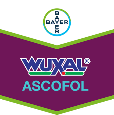 Wuxal® Ascofol