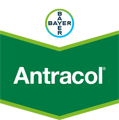 Antracol®