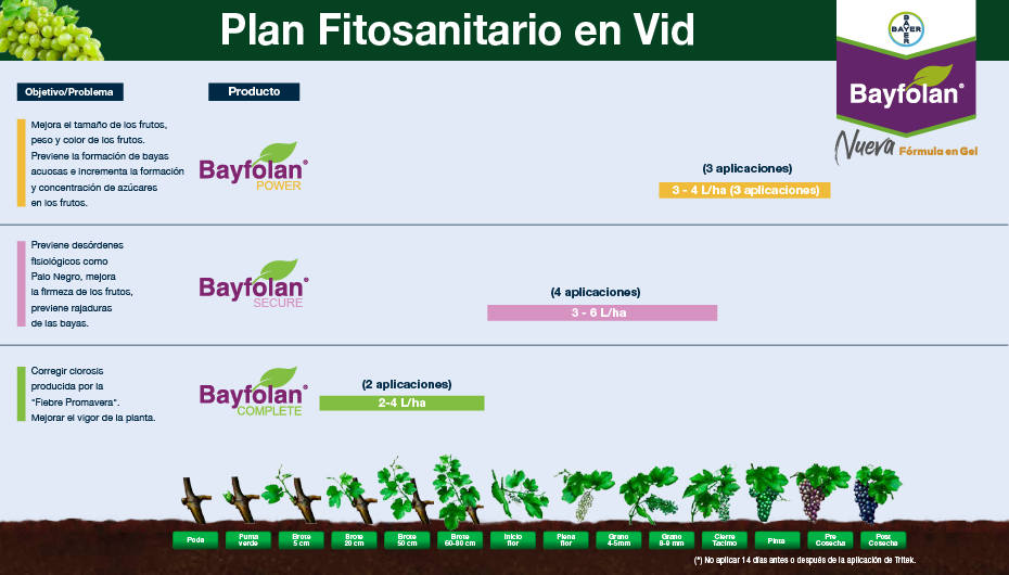 Fenología Arroz