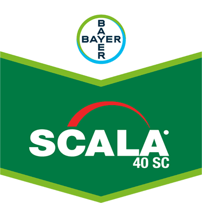 Scala® 40 SC