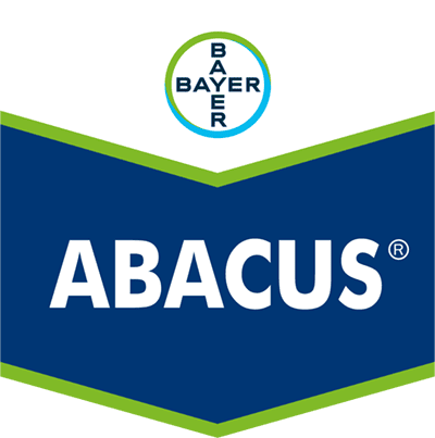 Abacus®