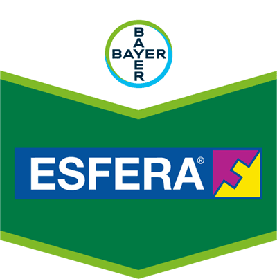 Esfera®